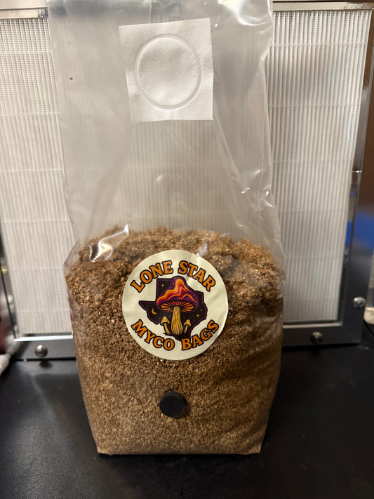 Watch it Grow Magic Myco Bag - Blue Oyster